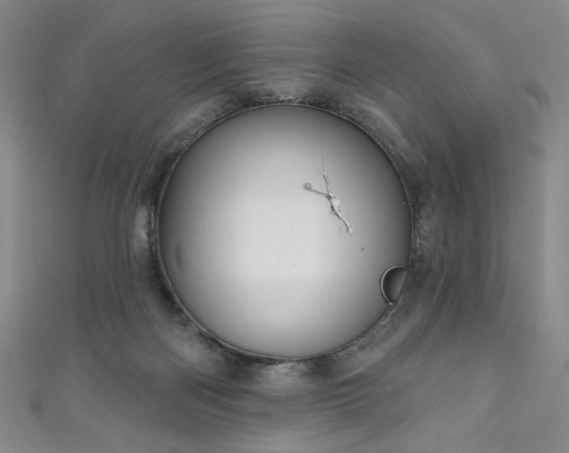 X0000111130122200906301218