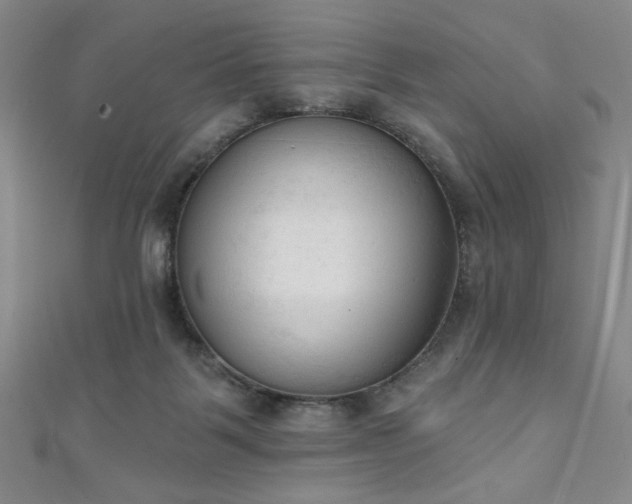 X0000111130123200906301218