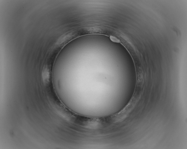 X0000111130124200906301218