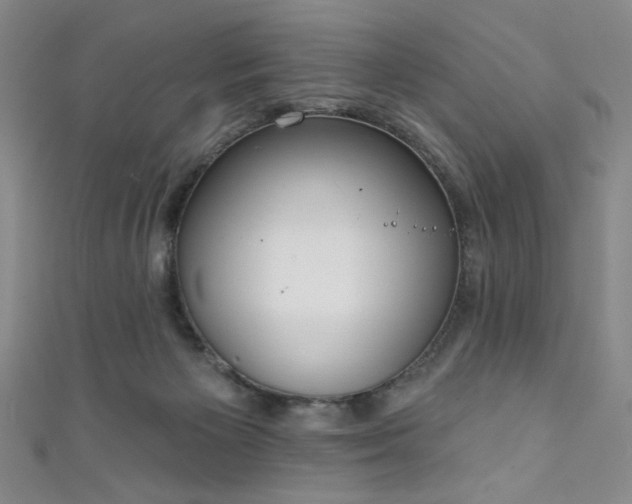 X0000111130125200906301218
