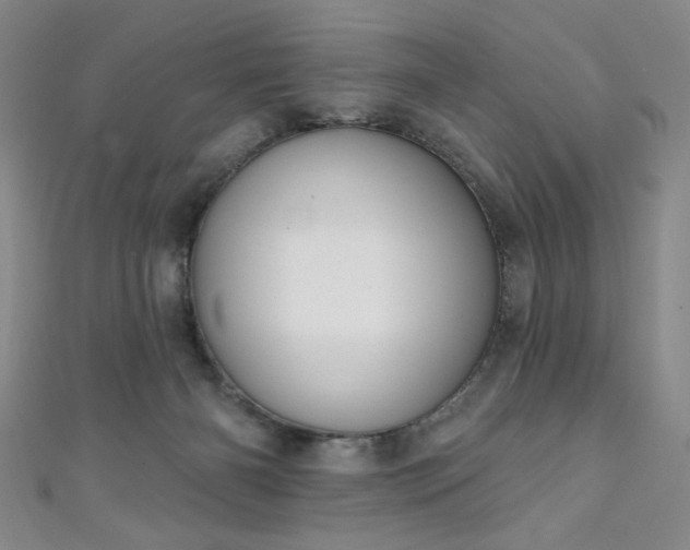 X0000111130126200906301218
