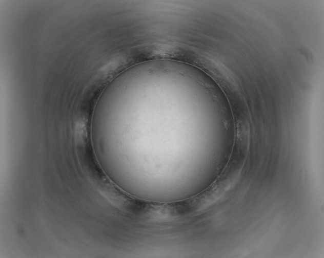 X0000111130127200906301218
