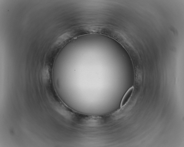 X0000111130128200906301218