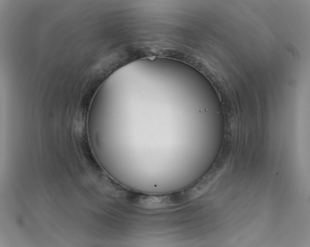 X0000111130129200906301218