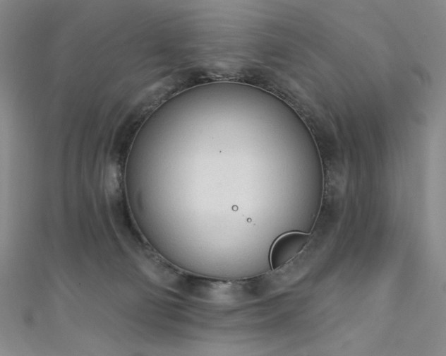 X0000111130130200906301218