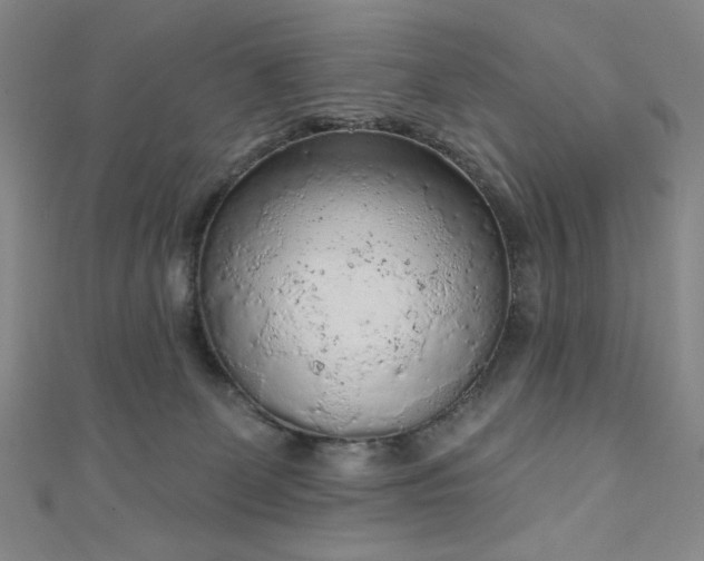 X0000111130131200906301218