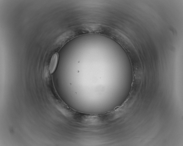 X0000111130132200906301218