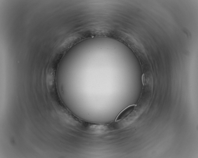 X0000111130133200906301218