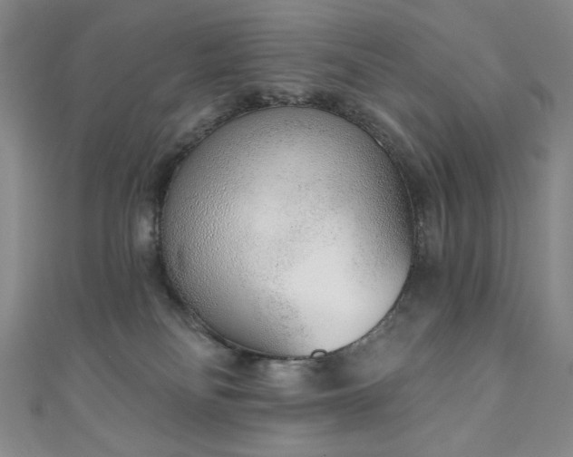 X0000111130134200906301218