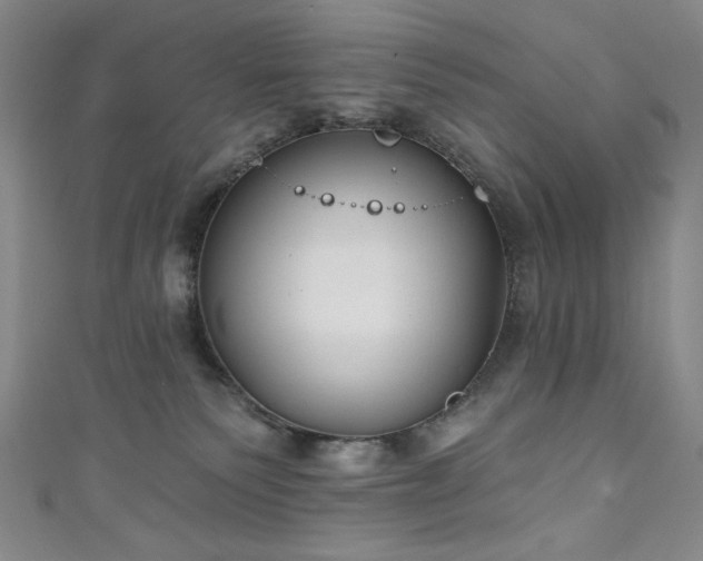 X0000111130135200906301218