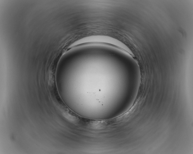 X0000111130136200906301218