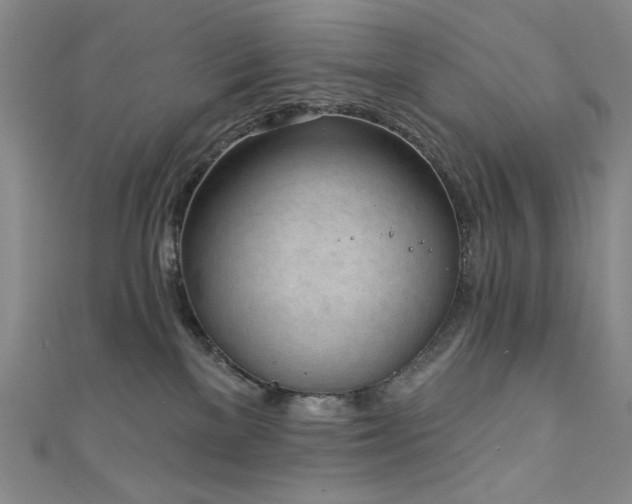 X0000111130137200906301218