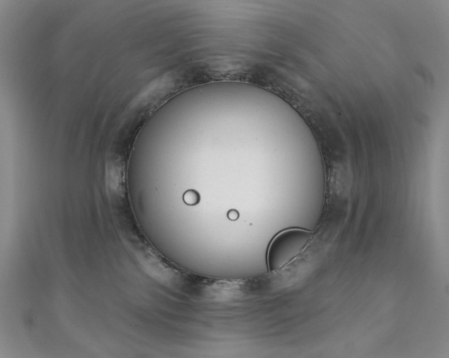 X0000111130138200906301218