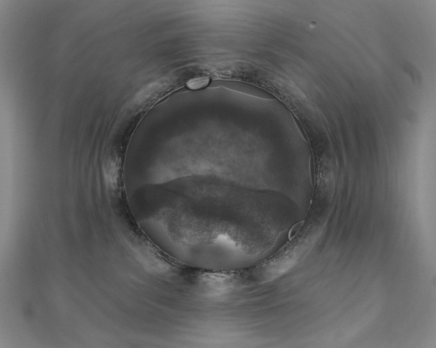 X0000111130139200906301218
