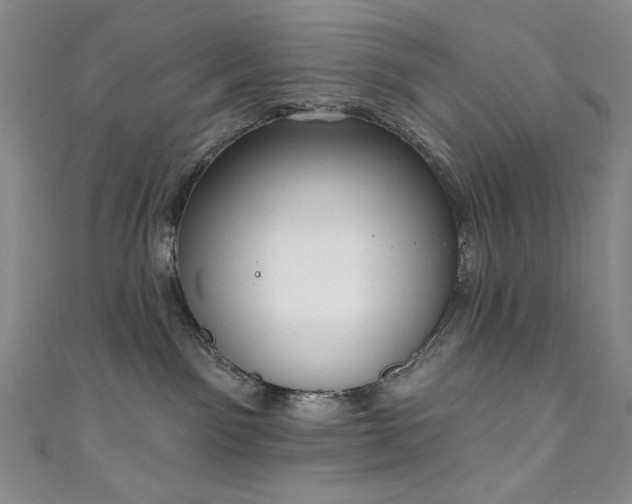 X0000111130141200906301218