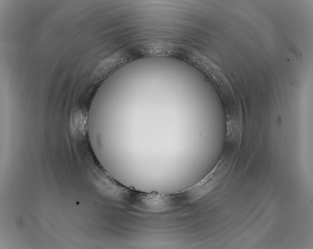 X0000111130142200906301218