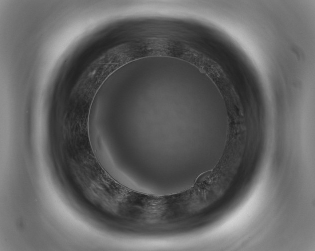 X0000111130143200906301218