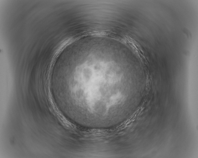X0000111130145200906301217