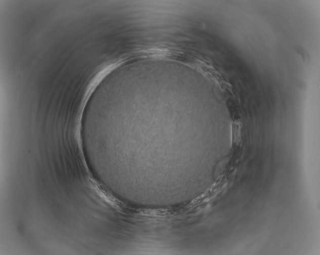 X0000111130147200906301217