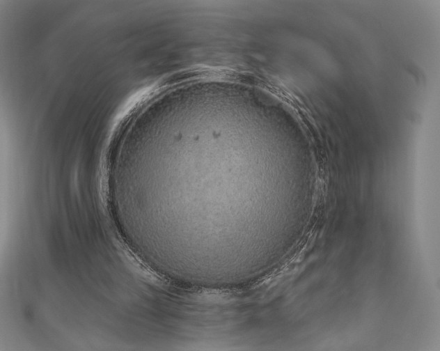 X0000111130149200906301217