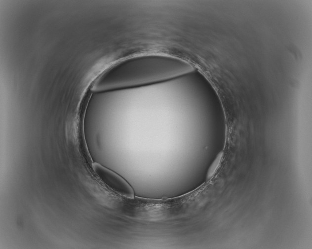 X0000111130152200906301217