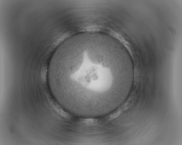 X0000111130153200906301217