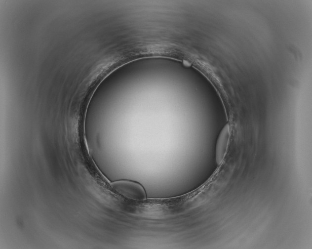 X0000111130154200906301217