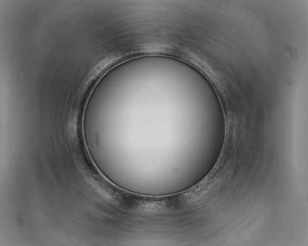 X0000111130155200906301217