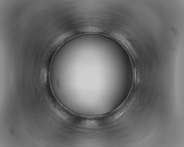 X0000111130157200906301217