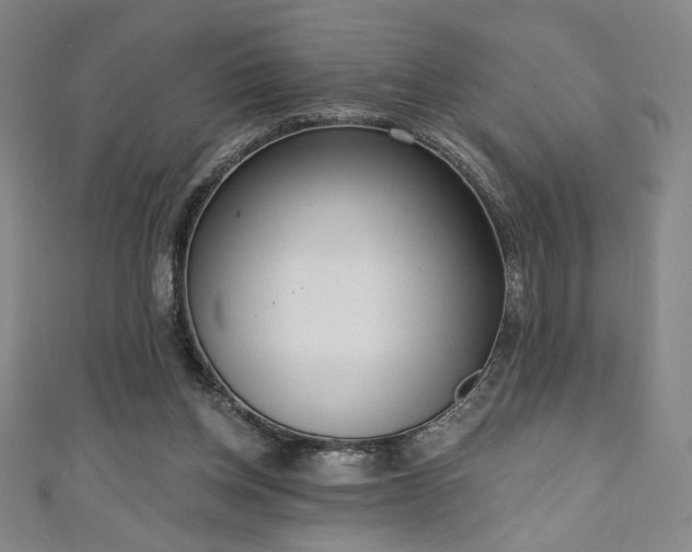 X0000111130158200906301217