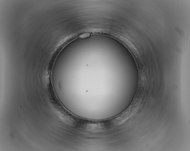 X0000111130160200906301217