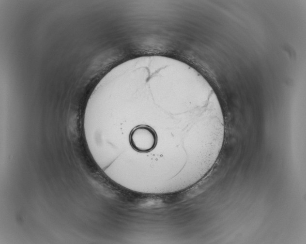 X0000111130162200906301217