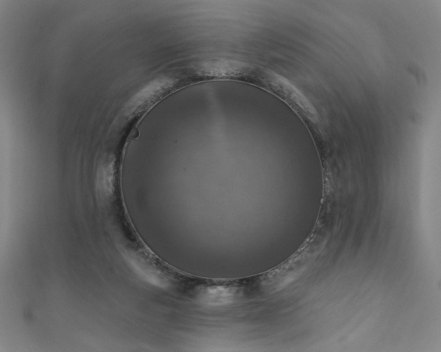 X0000111130163200906301217