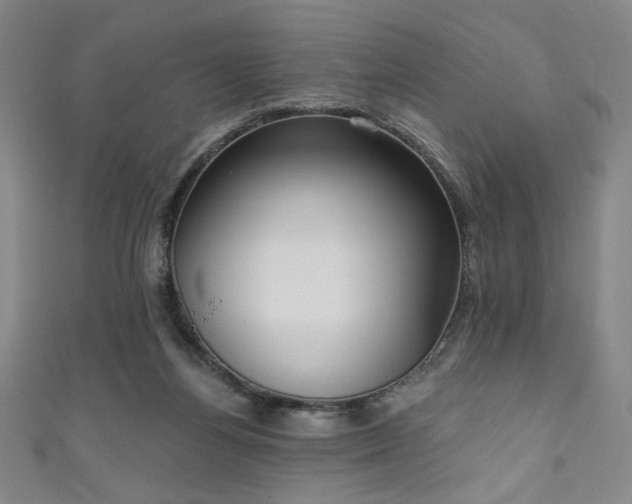 X0000111130164200906301217