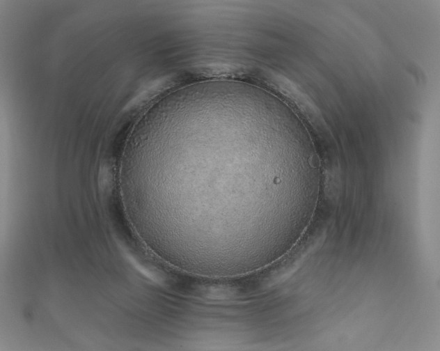 X0000111130165200906301217