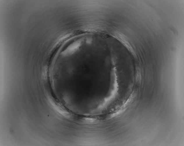 X0000111130167200906301217