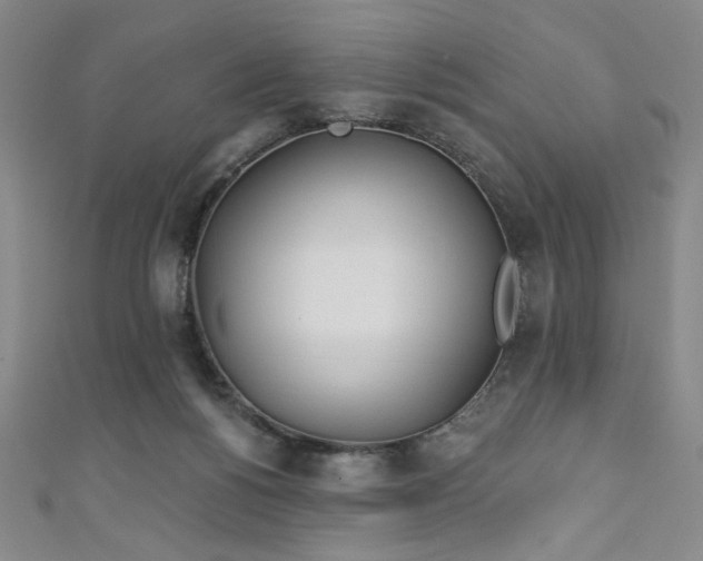 X0000111130168200906301217