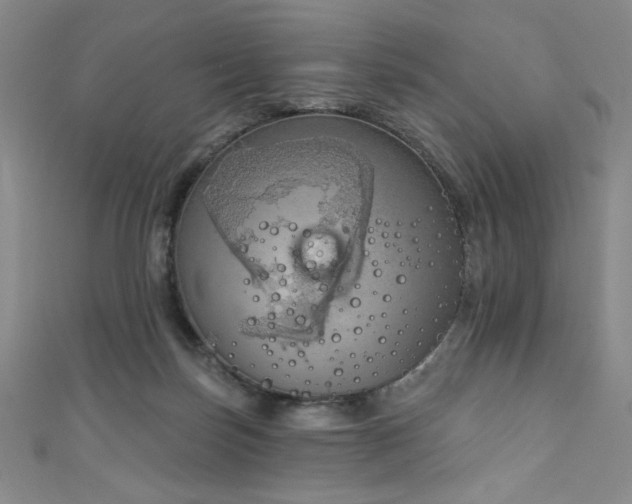 X0000111130171200906301217