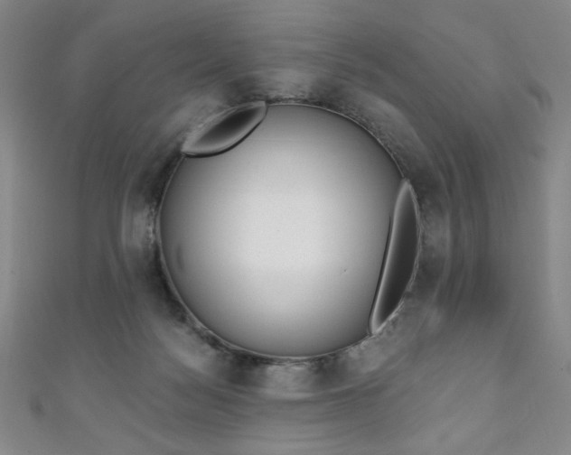 X0000111130172200906301217