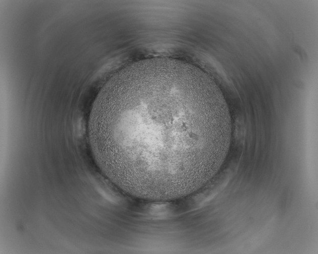 X0000111130173200906301217