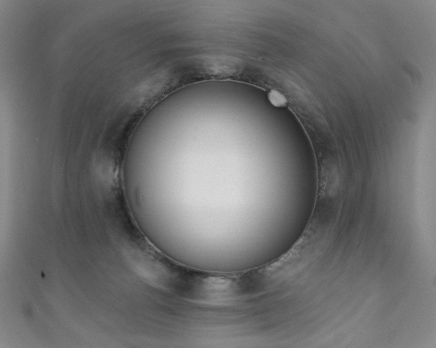 X0000111130176200906301217