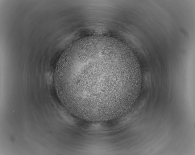 X0000111130177200906301217