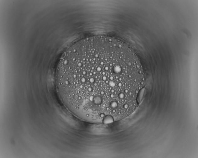 X0000111130179200906301217
