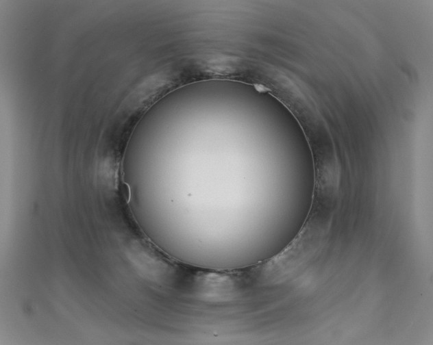 X0000111130180200906301217