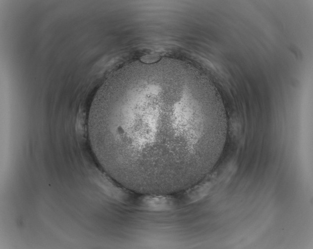 X0000111130181200906301217