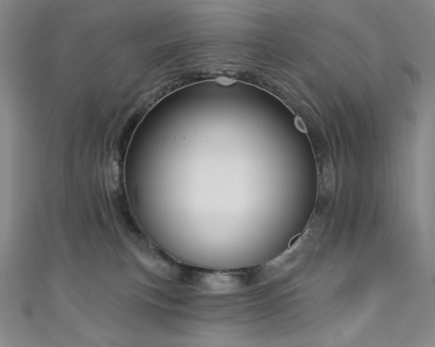X0000111130183200906301217