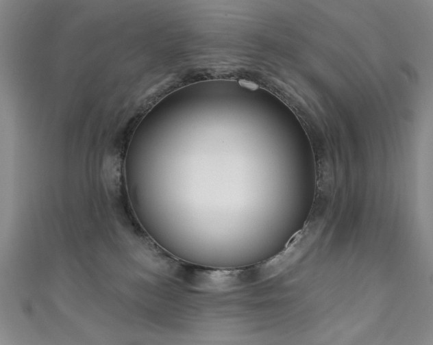 X0000111130184200906301217