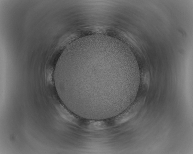 X0000111130185200906301217