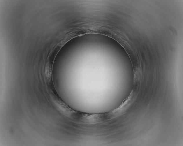 X0000111130186200906301217