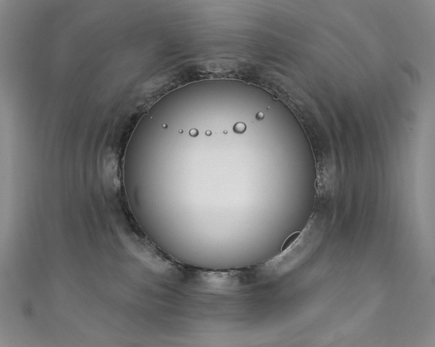 X0000111130187200906301217